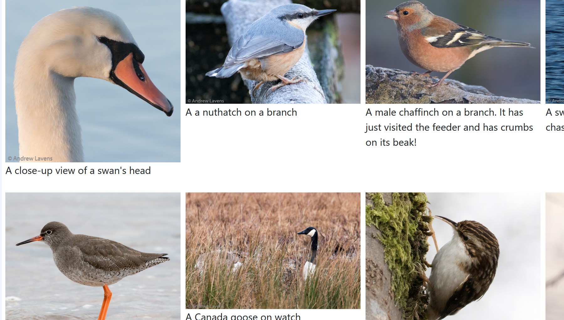 Part of an image gallery. The images themselves aren't important